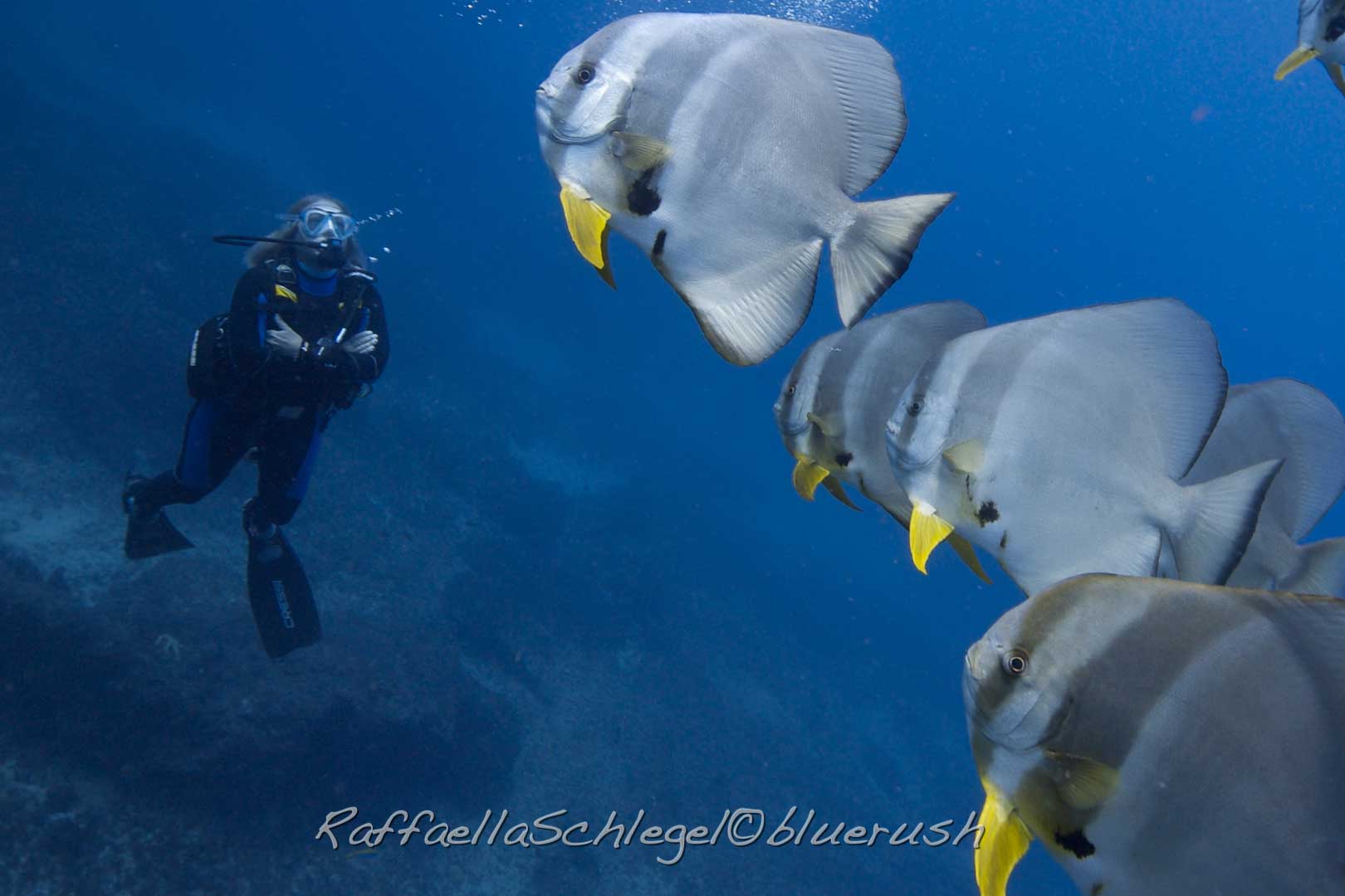 La descompresión en buceo. Principios